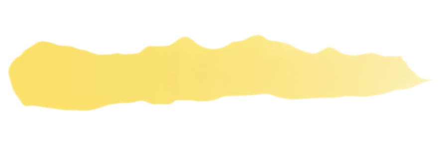 SC40 SOL YELLOW