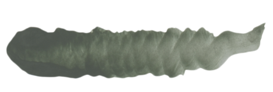 SC46 FIELD GREY