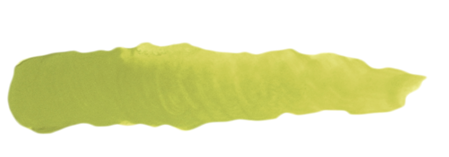 SC48 FALL GREEN